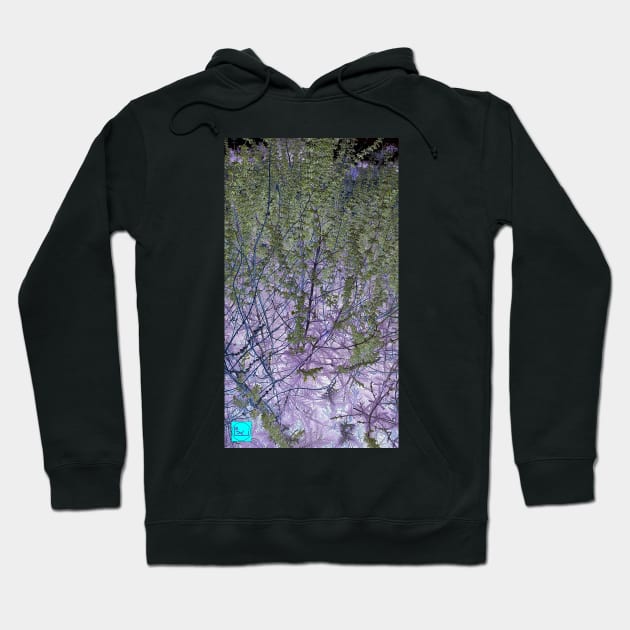 solar lavender Hoodie by callalexi